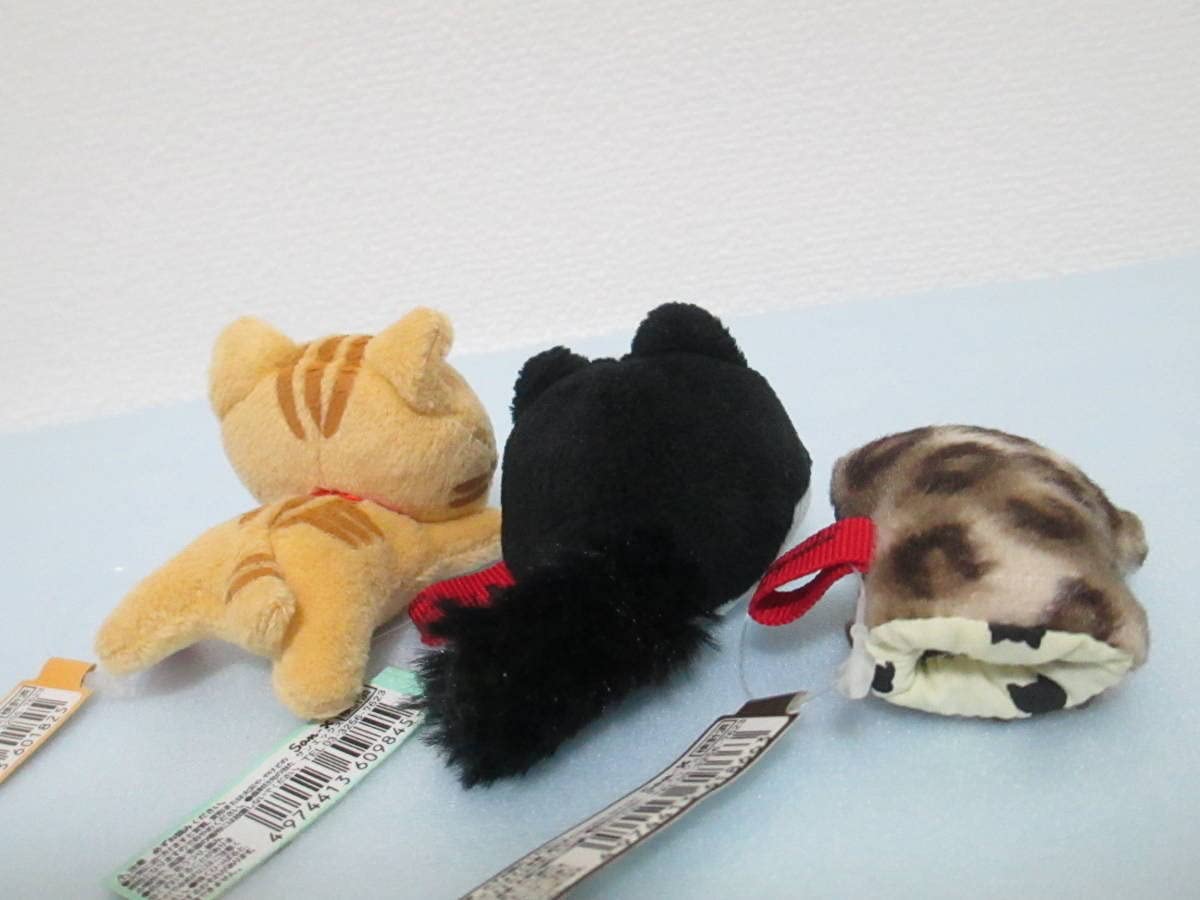 Amazon.co.jp: 靴下にゃんこ てのりぬいぐるみ 猫まるまる てのり
